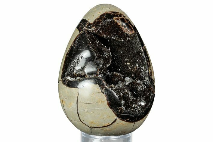 Septarian Dragon Egg Geode - Sparkly Black Crystals #336451